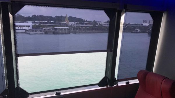 Sola-Cure Anti-Glare Blinds - Image 3